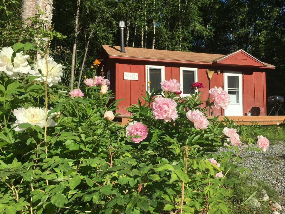 Trapper John'S Cabin & Cottages Talkeetna Ngoại thất bức ảnh